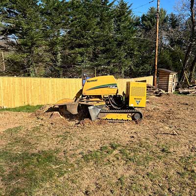 Stump Grinding