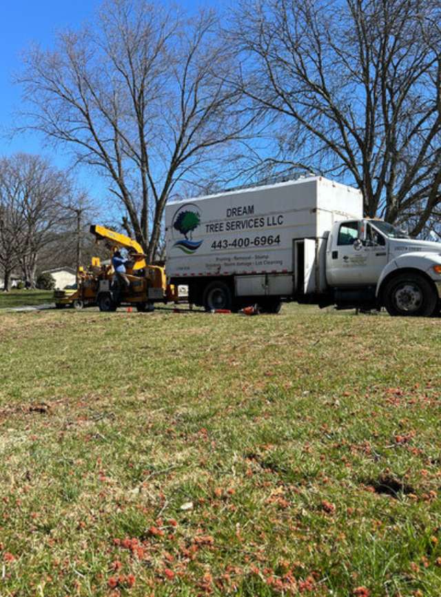 Experience Top Benefits of Stump Grinding in Towson, MD