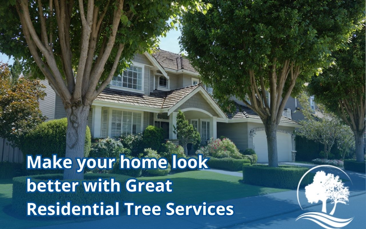 Residential Tree Services improving curb appeal with neatly trimmed trees around a home.