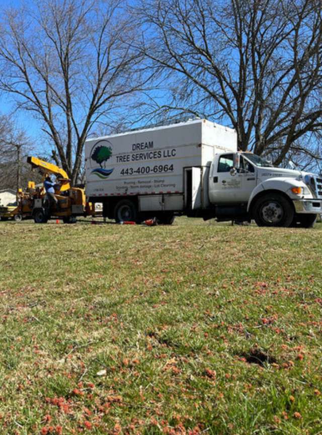 Secure Your Tree Pruning in Pikesville, MD, Now!