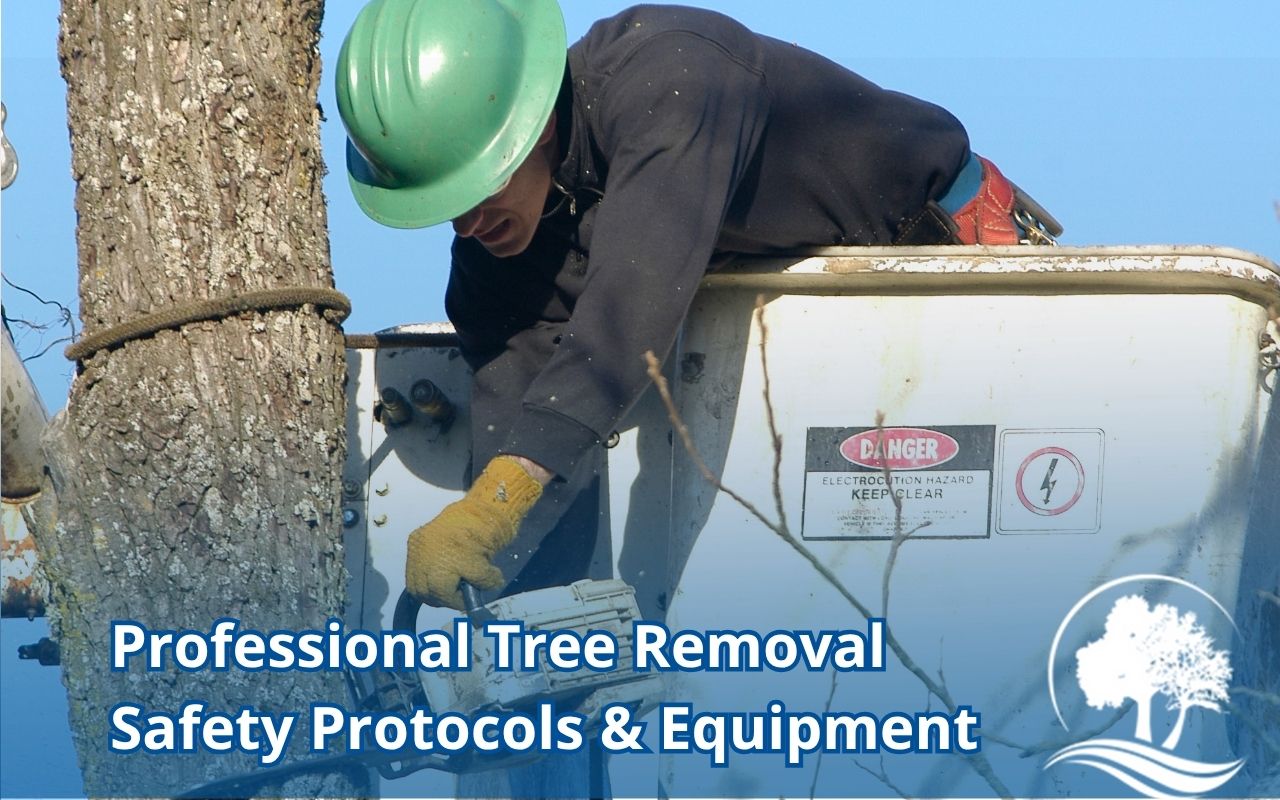 Rigging setup using Professional Tree Removal Safety Protocols & Equipment
