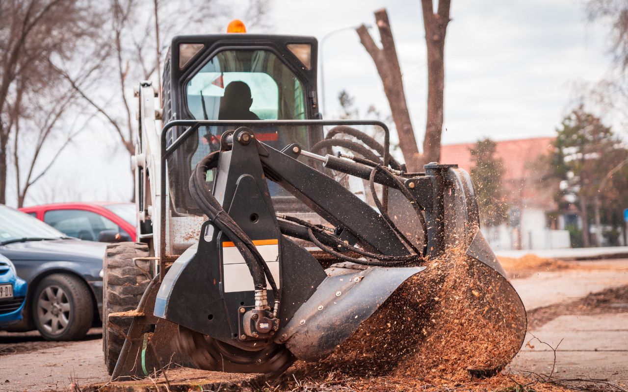 mechanical tree removal