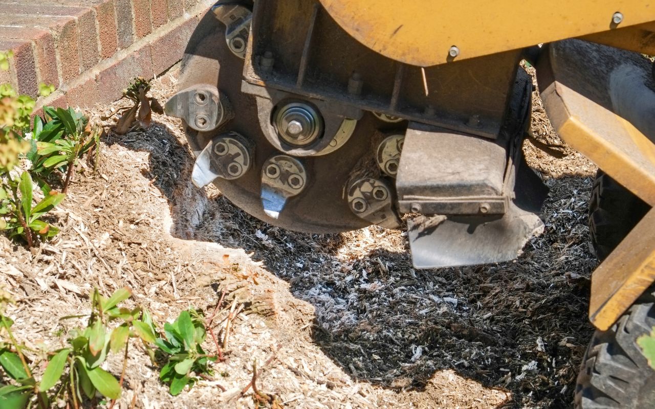 Stump grinding equipment in use