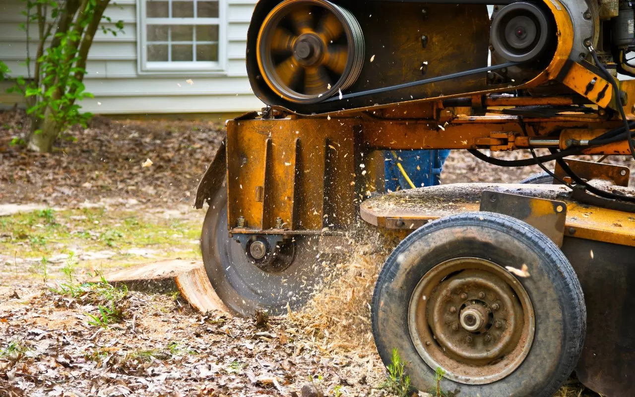 Worker wearing safety gear for stump grinding