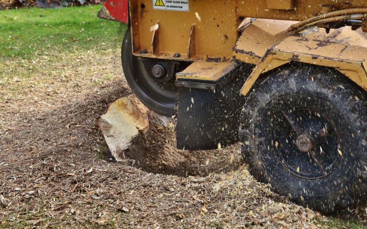 Chart comparing costs of DIY and professional stump grinding