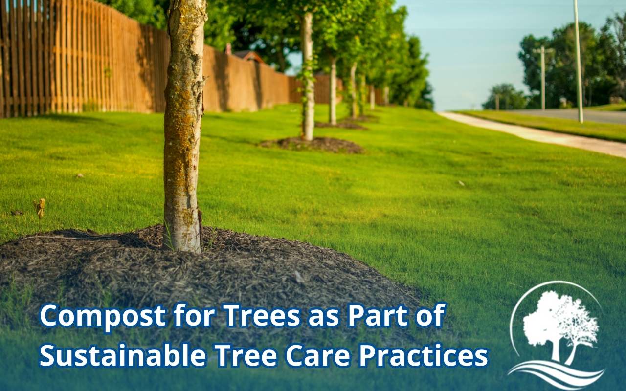 Healthy compost and mulch applied around the base of a backyard tree