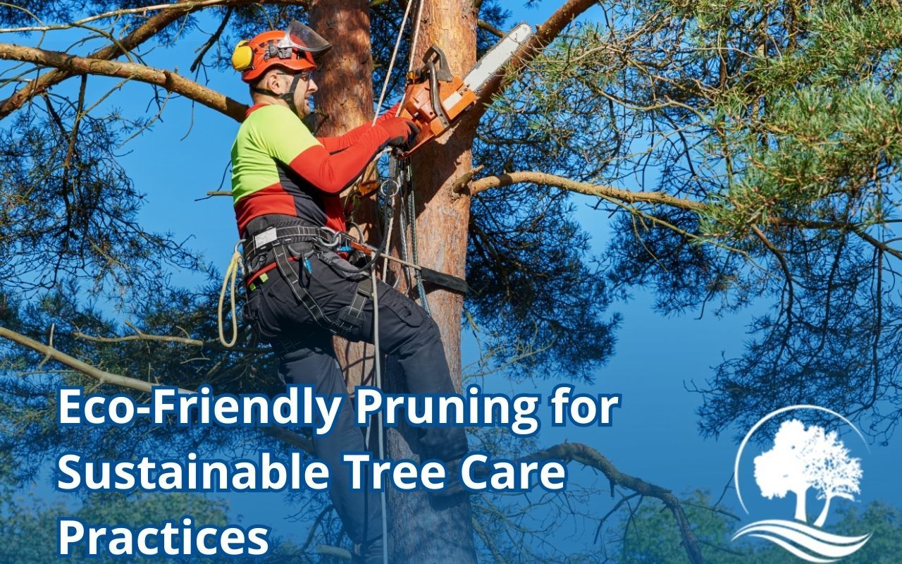 Certified arborist pruning a tree using eco-friendly methods