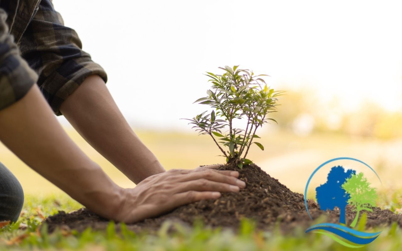 Homeowner and arborist planting different tree types for biodiversity