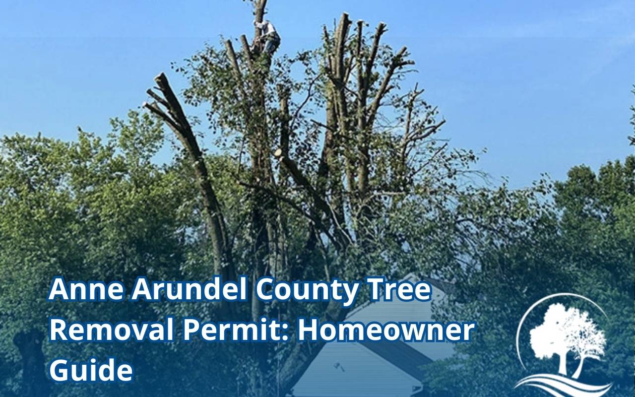 Identifying protected trees in Anne Arundel County