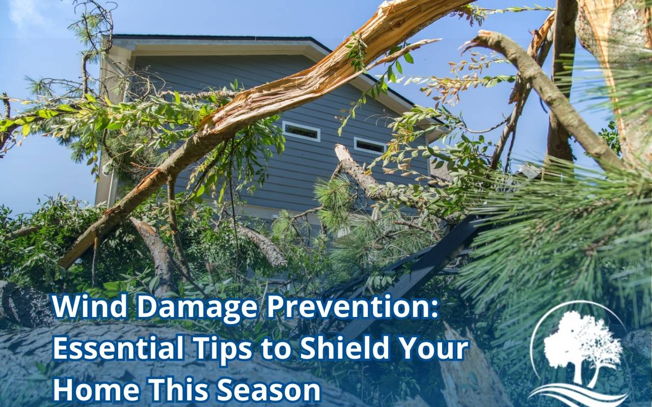 Wind damage prevention through tree trimming and pruning
