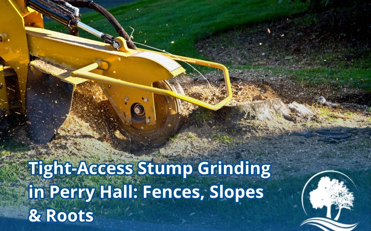 Arborist performing tight-access stump grinding Perry Hall near a fence