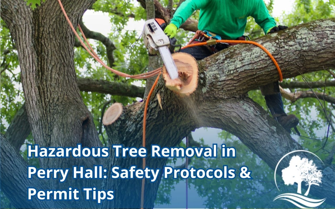 Hazardous Tree Removal in Perry Hall: Safety Protocols & Permit Tips—professional hazard assessment