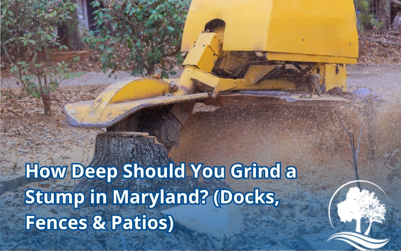 Diagram showing 6–12 in depth for “How Deep Should You Grind a Stump in Maryland? (Docks, Fences & Patios)"