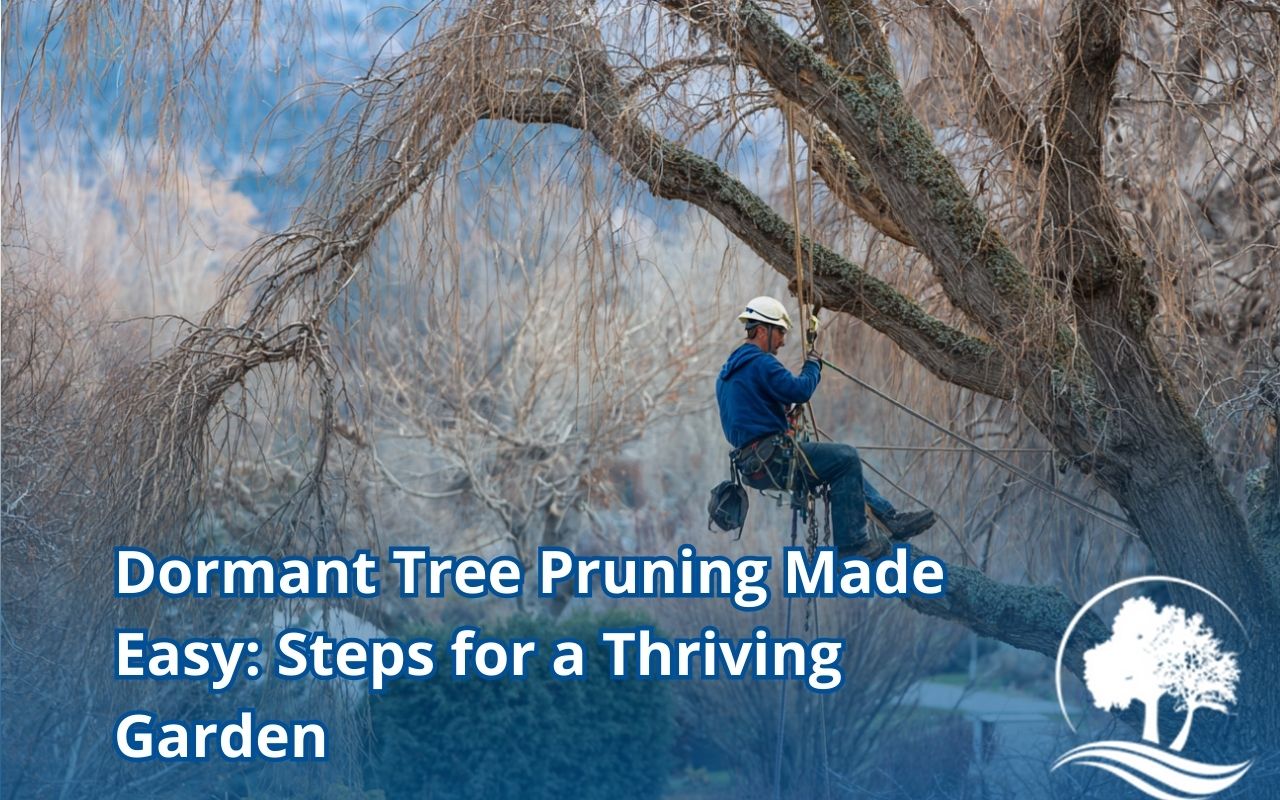 Discover Dormant Tree Pruning tips to remove dead branches, prevent disease, and boost spring growth with safe, simple winter care.