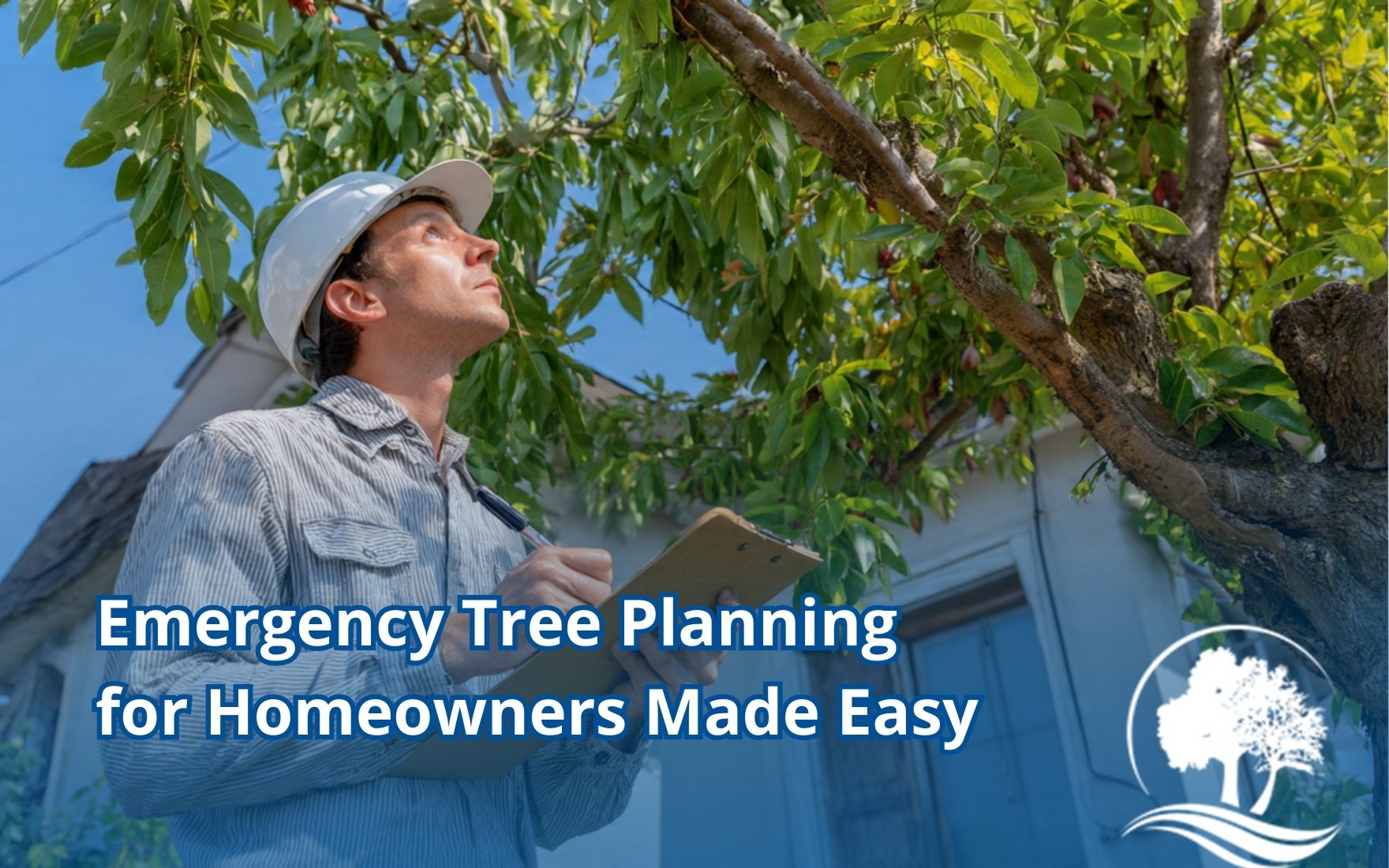 Emergency tree planning for homeowners checklist for inspecting trees near a house