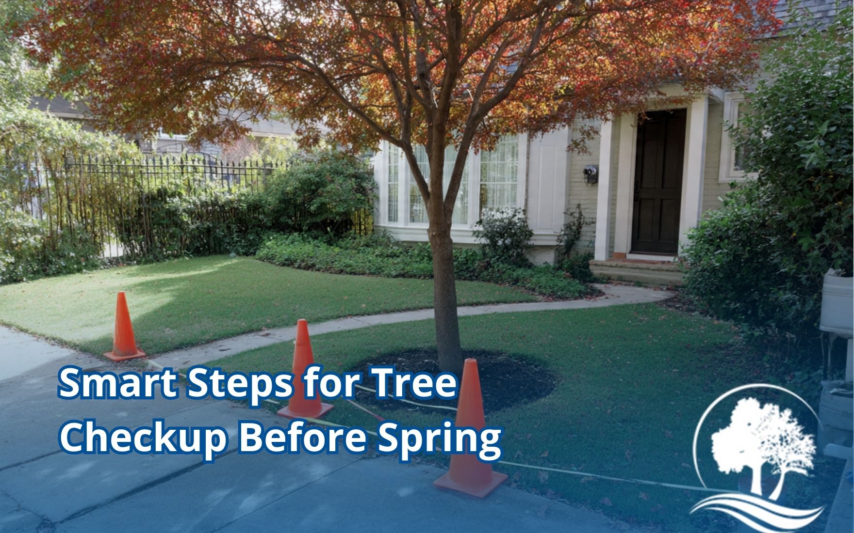 Preparing yard for tree removal by marking a safe work zone with cones and tape.