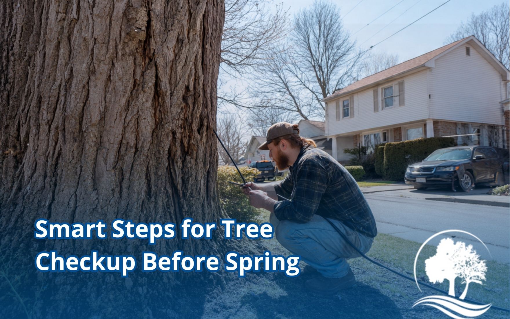 Tree inspection before spring showing a homeowner checking the trunk for cracks and decay.